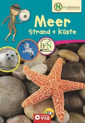 Kuhn |  Naturdetektive - Meer, Strand + Küste | Buch |  Sack Fachmedien