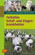 Winkelmann / Ganter |  Farbatlas Schaf- und Ziegenkrankheiten | Buch |  Sack Fachmedien