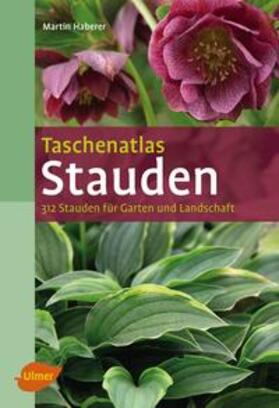 Haberer |  Taschenatlas Stauden | Buch |  Sack Fachmedien