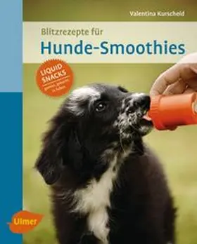 Kurscheid |  Blitzrezepte für Hunde-Smoothies | eBook | Sack Fachmedien