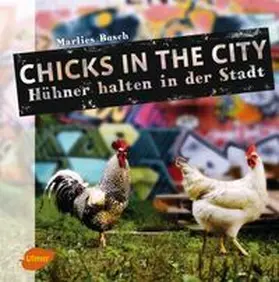 Busch |  Chicks in the City | eBook | Sack Fachmedien