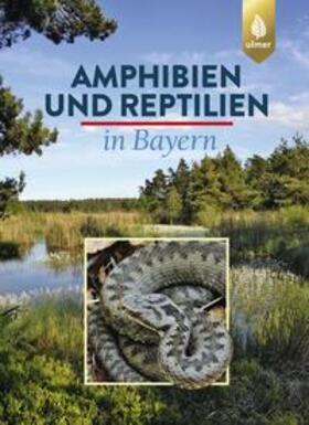 Andrä / Aßmann / Dürst | Amphibien und Reptilien in Bayern | Buch | sack.de