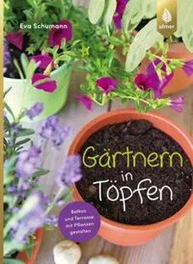 Schumann |  Gärtnern in Töpfen | Buch |  Sack Fachmedien