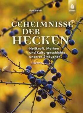 Beiser | Geheimnisse der Hecken | Buch | 978-3-8186-0726-5 | sack.de