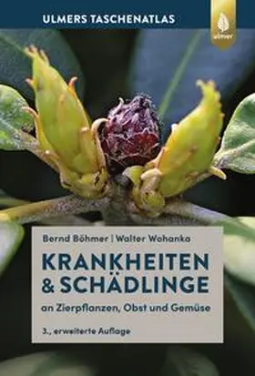 Böhmer / Wohanka |  Krankheiten & Schädlinge an Zierpflanzen, Obst und Gemüse | Buch |  Sack Fachmedien
