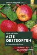 Hartmann |  Alte Obstsorten | Buch |  Sack Fachmedien