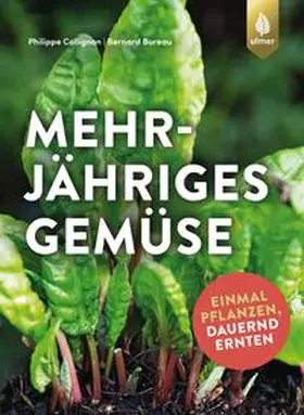 Collignon / Bureau |  Mehrjähriges Gemüse | Buch |  Sack Fachmedien