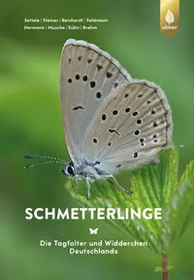 Settele / Steiner / Reinhardt |  Schmetterlinge | Buch |  Sack Fachmedien