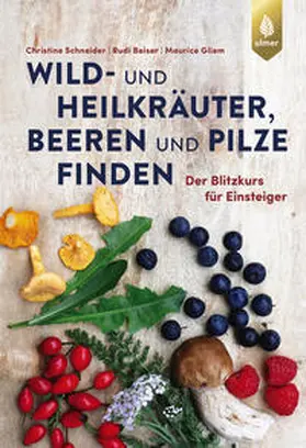 Schneider / Beiser / Gliem |  Wild- und Heilkräuter, Beeren und Pilze finden | Buch |  Sack Fachmedien