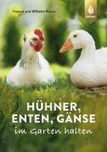 Bauer |  Hühner, Enten, Gänse im Garten halten | eBook | Sack Fachmedien