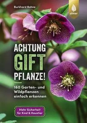Bohne |  Achtung, Giftpflanze! | eBook | Sack Fachmedien