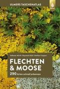 Wirth / Düll / Caspari |  Flechten und Moose | Buch |  Sack Fachmedien