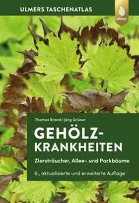 Brand / Grüner |  Gehölzkrankheiten | Buch |  Sack Fachmedien