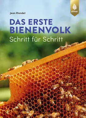 Riondet |  Das erste Bienenvolk  - Schritt für Schritt | Buch |  Sack Fachmedien