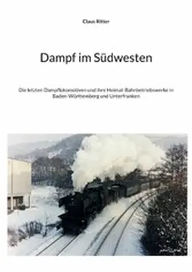 Ritter |  Dampf im Südwesten | eBook | Sack Fachmedien