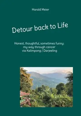 Meier |  Detour back to Life | Buch |  Sack Fachmedien