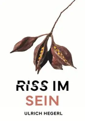 Hegerl |  Riss im Sein | Buch |  Sack Fachmedien
