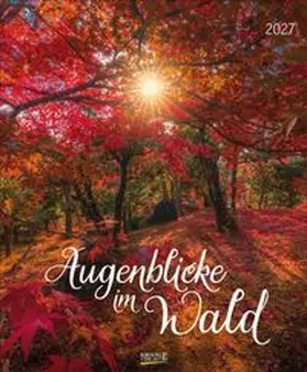  Augenblicke im Wald 2027 | Sonstiges |  Sack Fachmedien