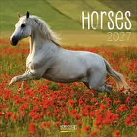  Horses 2027 | Sonstiges |  Sack Fachmedien