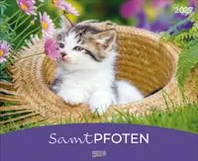  Samtpfoten 2027 | Sonstiges |  Sack Fachmedien