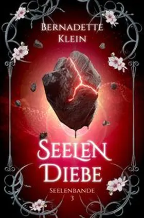 Klein |  Seelendiebe | Buch |  Sack Fachmedien