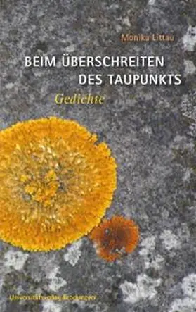 Littau |  Beim Überschreiten des Taupunkts | Buch |  Sack Fachmedien