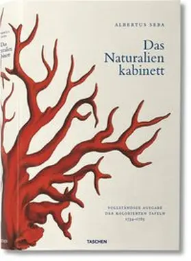 Müsch / Rust / Willmann |  Albertus Seba. Cabinet of Natural Curiosities | Buch |  Sack Fachmedien