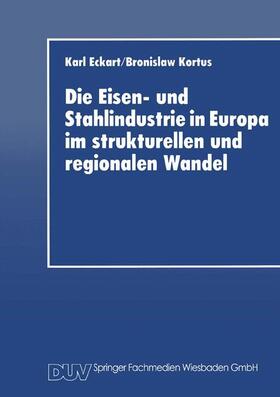 Die Eisen- und Stahlindustrie in Europa im strukturellen und regionalen Wandel | Buch | 978-3-8244-0247-2 | sack.de