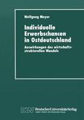  Individuelle Erwerbschancen in Ostdeutschland | Buch |  Sack Fachmedien