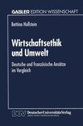  Wirtschaftsethik und Umwelt | Buch |  Sack Fachmedien