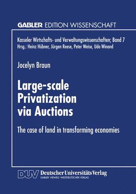 Large-scale Privatization via Auctions | Buch | sack.de