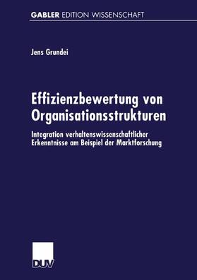 Effizienzbewertung von Organisationsstrukturen | Buch | 978-3-8244-7053-2 | sack.de