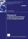 Kempe |  Kempe, T: Management wetterinduzierter Risiken in der Energi | Buch |  Sack Fachmedien
