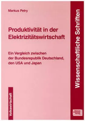 Petry |  Produktivität in der Elektrizitätswirtschaft | Buch |  Sack Fachmedien