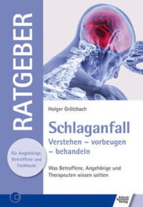 Grötzbach | Schlaganfall | Buch | 978-3-8248-1234-9 | sack.de