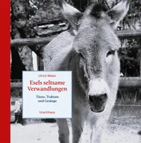 Meier |  Esels seltsame Verwandlungen | Buch |  Sack Fachmedien
