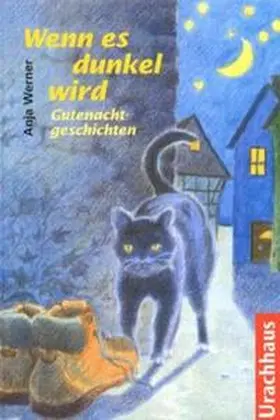 Werner |  Wenn es dunkel wird | Buch |  Sack Fachmedien