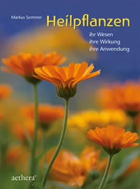 Sommer |  Heilpflanzen | Buch |  Sack Fachmedien