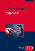Mäntele |  Biophysik | Buch |  Sack Fachmedien