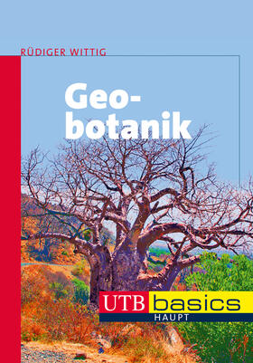 Wittig |  Geobotanik | Buch |  Sack Fachmedien