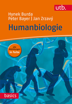 Burda / Bayer / Zrzavý | Burda, H: Humanbiologie | Buch | 978-3-8252-4130-8 | sack.de