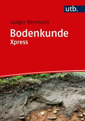 Herrmann | Bodenkunde Xpress | Buch | 978-3-8252-4943-4 | sack.de