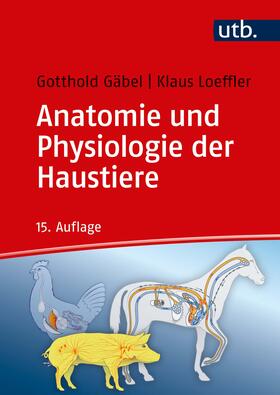 Gäbel / Loeffler / Pfannkuche | Gäbel, G: Anatomie und Physiologie der Haustiere | Buch | 978-3-8252-4951-9 | sack.de