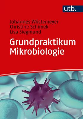 Wöstemeyer / Schimek / Siegmund | Wöstemeyer, J: Grundpraktikum Mikrobiologie | Buch | 978-3-8252-5021-8 | sack.de