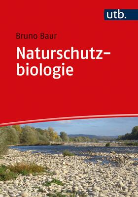 Baur | Naturschutzbiologie | Buch | 978-3-8252-5416-2 | sack.de