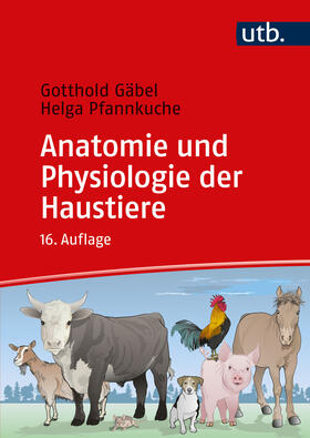 Gäbel / Loeffler / Pfannkuche |  Anatomie und Physiologie der Haustiere | Buch |  Sack Fachmedien