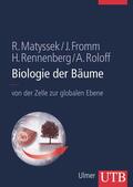 Matyssek / Fromm / Rennenberg |  Biologie der Bäume | Buch |  Sack Fachmedien