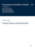 Ziegler |  Soziale Schicht und Kriminalität | Buch |  Sack Fachmedien