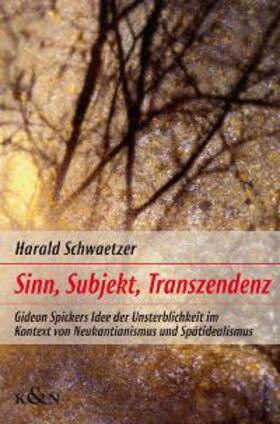 Schwaetzer |  Sinn, Subjekt und Transzendenz | Buch |  Sack Fachmedien