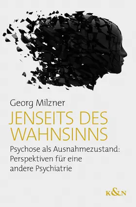 Milzner |  Jenseits des Wahnsinns | Buch |  Sack Fachmedien